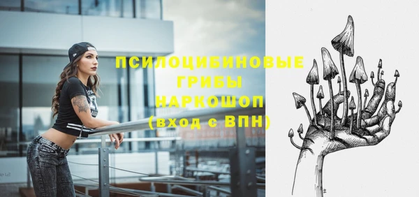 прущие крисы Надым