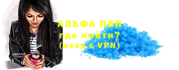 прущие крисы Надым