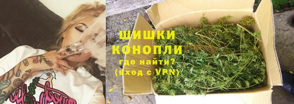 прущие крисы Надым