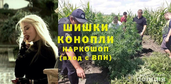 прущие крисы Надым