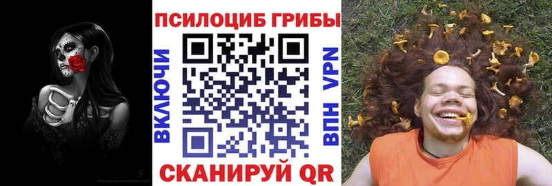 mega ТОР  наркотики  Щигры  Галлюциногенные грибы GOLDEN TEACHER 